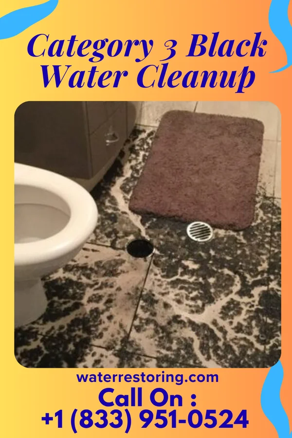 Category 3 Black Water Cleanup in Scottsville, VA