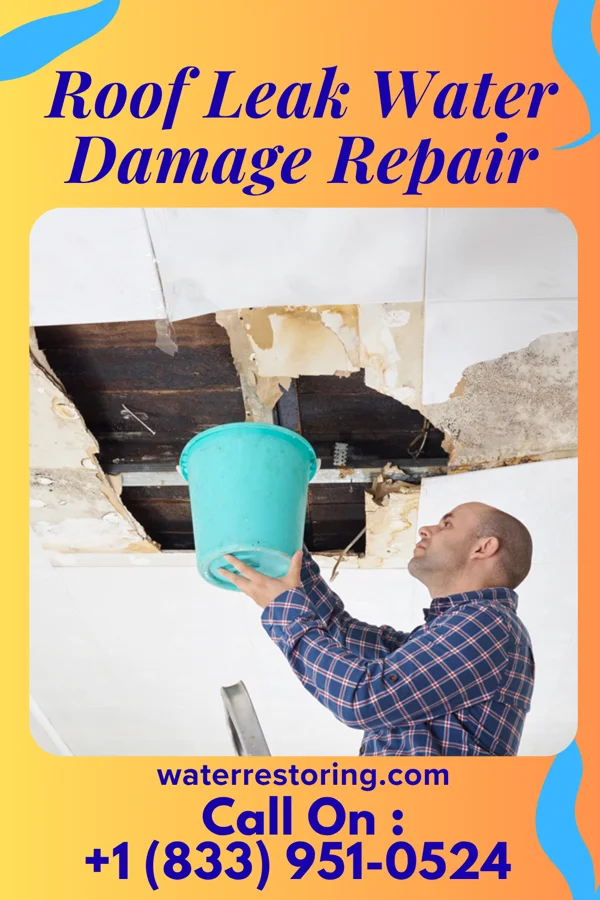 Roof Leak Water Damage Repair in Scottsville, VA