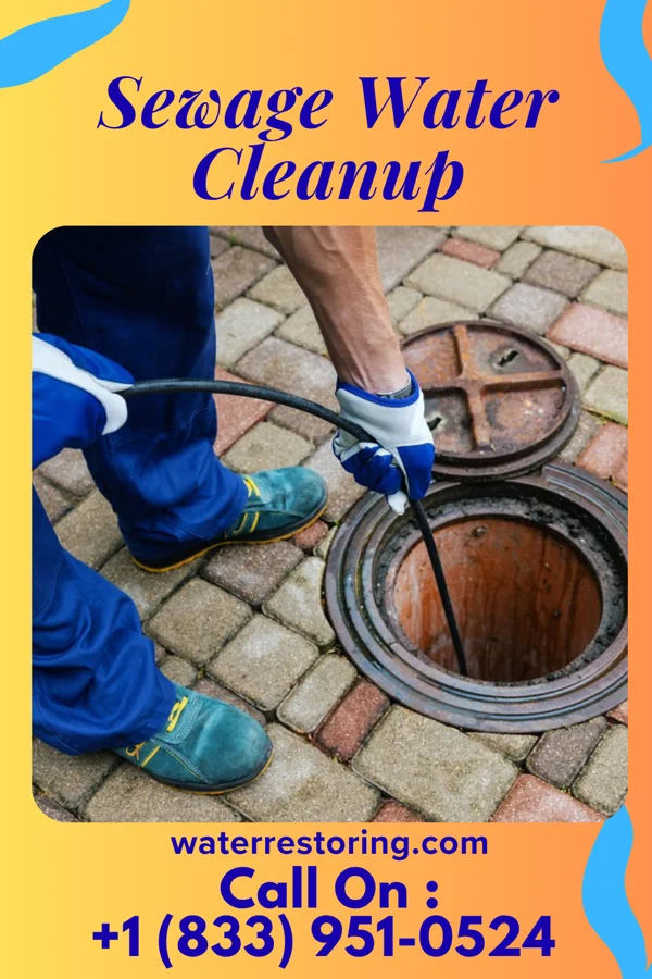 Sewage Water Cleanup in Scottsville, VA