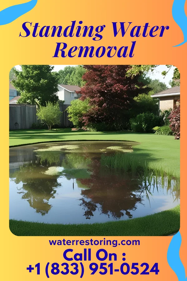 Standing Water Removal in Scottsville, VA